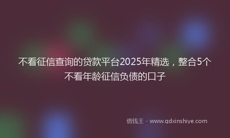 不看征信查询的贷款平台2025年精选，整合5个不看年龄征信负债的口子