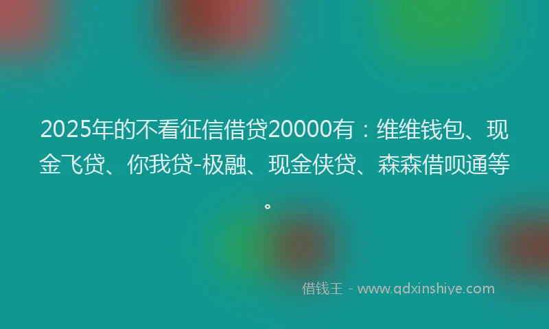 2025年的不看征信借贷20000有：维维钱包、现金飞贷、你我贷-极融、现金侠贷、森森借呗通等。