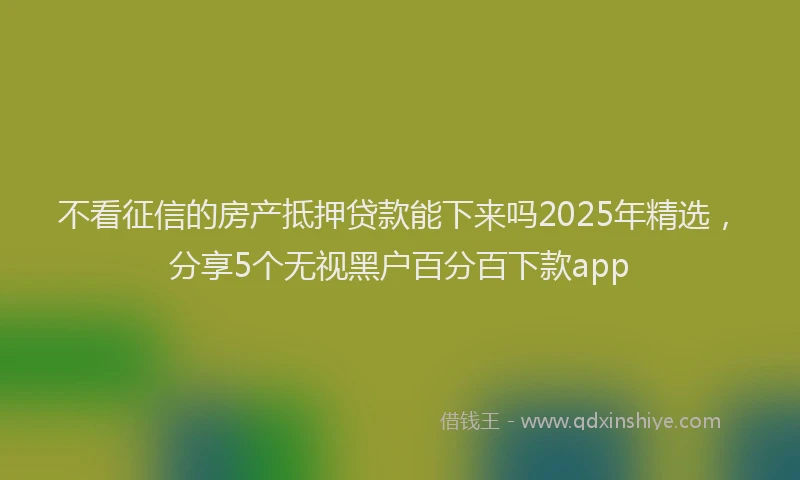 不看征信的房产抵押贷款能下来吗2025年精选,分享5个无视黑户百分百下款app