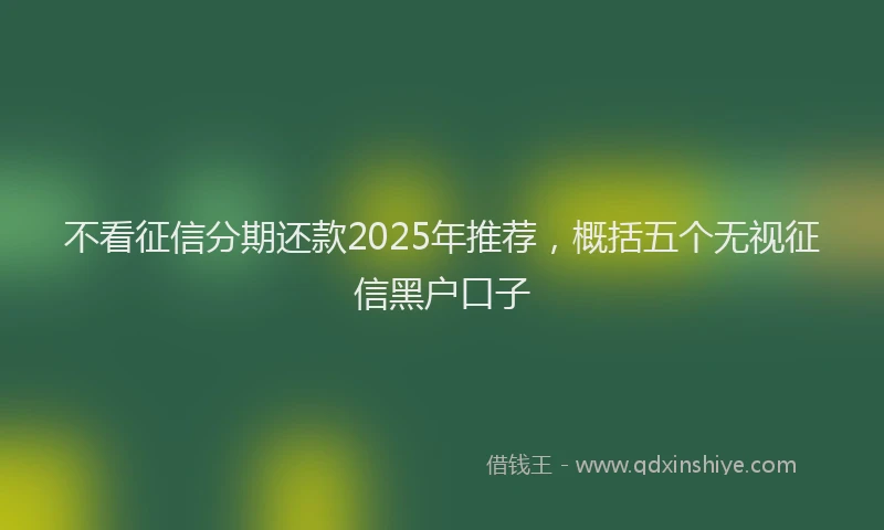 不看征信分期还款2025年推荐，概括五个无视征信黑户口子
