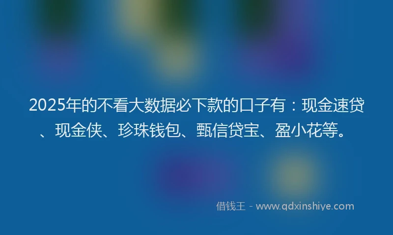2025年的不看大数据必下款的口子有：现金速贷、现金侠、珍珠钱包、甄信贷宝、盈小花等。