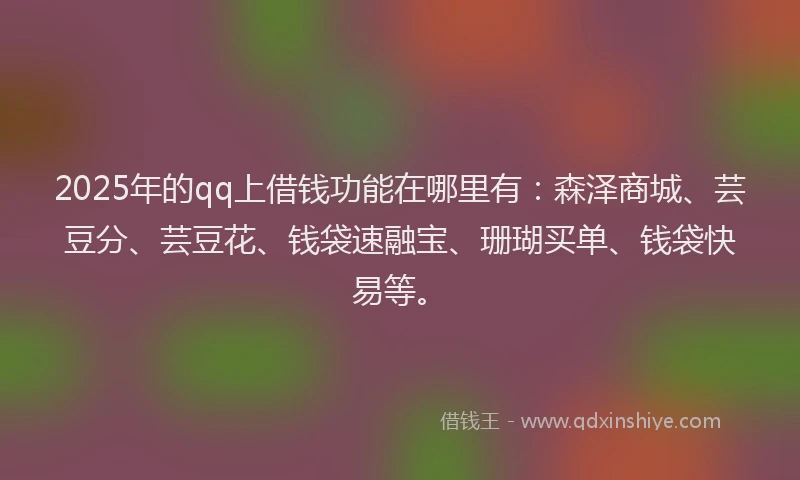 2025年的qq上借钱功能在哪里有：森泽商城、芸豆分、芸豆花、钱袋速融宝、珊瑚买单、钱袋快易等。