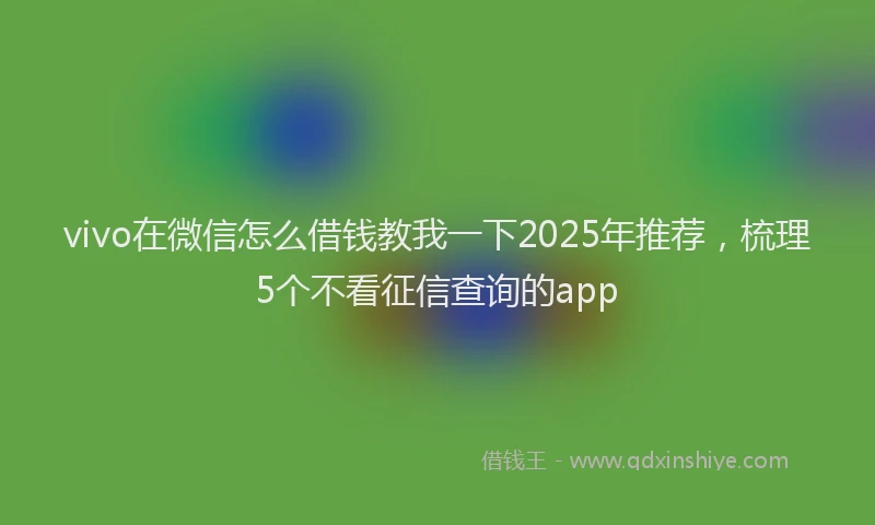 vivo在微信怎么借钱教我一下2025年推荐，梳理5个不看征信查询的app