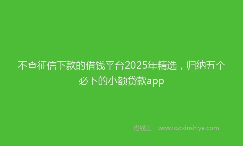 不查征信下款的借钱平台2025年精选，归纳五个必下的小额贷款app