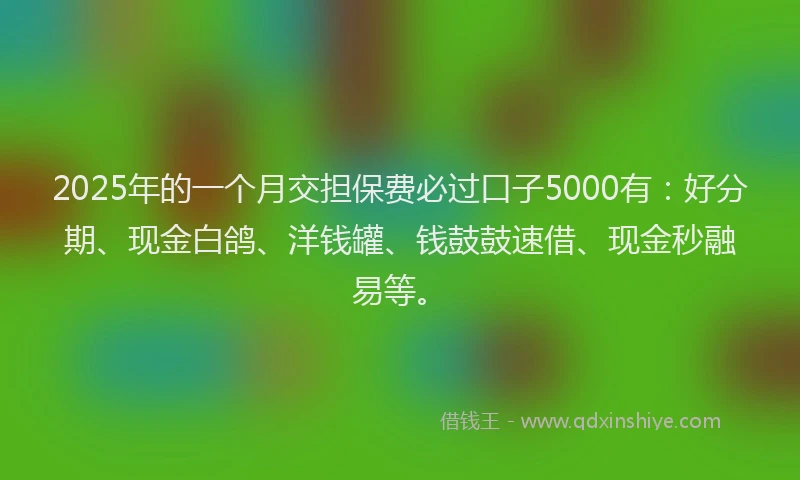 2025年的一个月交担保费必过口子5000有：好分期、现金白鸽、洋钱罐、钱鼓鼓速借、现金秒融易等。