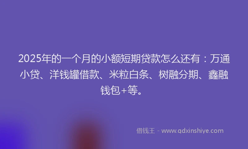 2025年的一个月的小额短期贷款怎么还有：万通小贷、洋钱罐借款、米粒白条、树融分期、鑫融钱包+等。