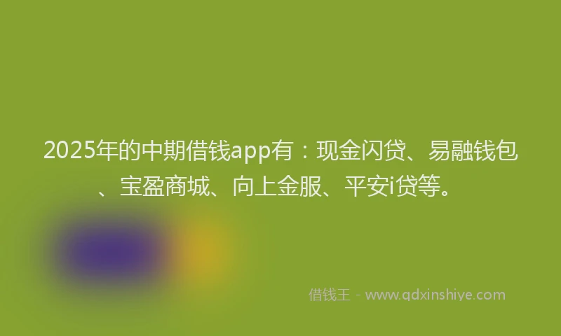 2025年的中期借钱app有:现金闪贷、易融钱包、宝盈商城、向上金服、平安i贷等。