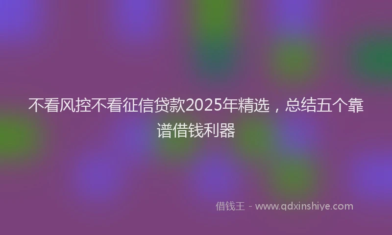 不看风控不看征信贷款2025年精选，总结五个靠谱借钱利器