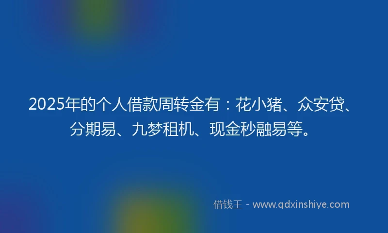 2025年的个人借款周转金有：花小猪、众安贷、分期易、九梦租机、现金秒融易等。