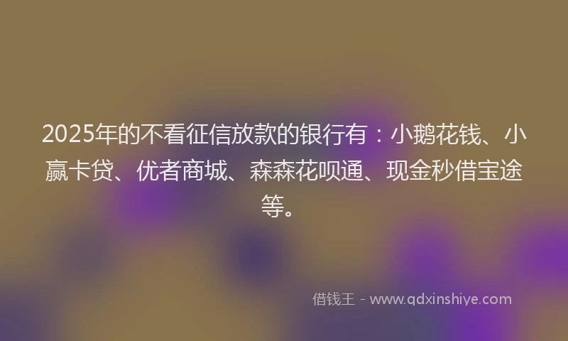 2025年的不看征信放款的银行有：小鹅花钱、小赢卡贷、优者商城、森森花呗通、现金秒借宝途等。