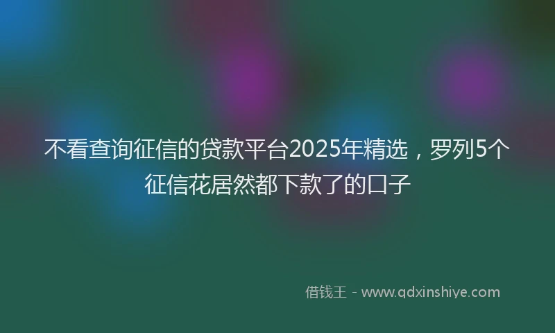 不看查询征信的贷款平台2025年精选，罗列5个征信花居然都下款了的口子