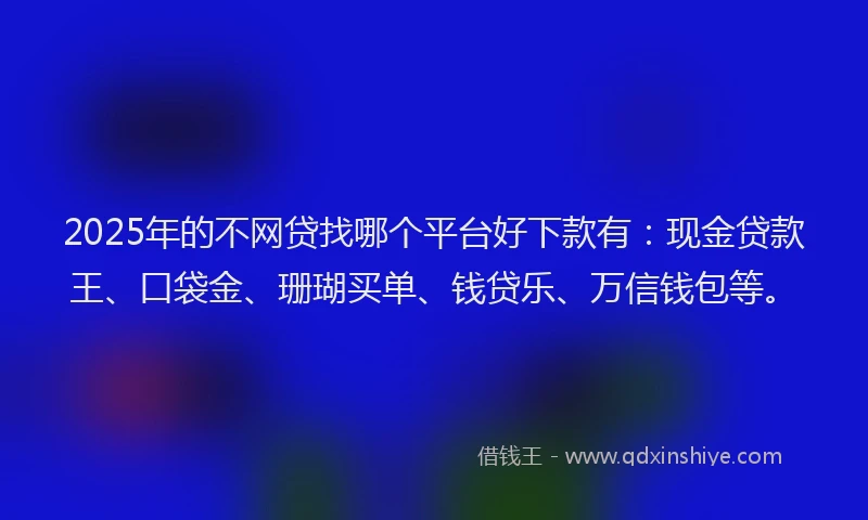 2025年的不网贷找哪个平台好下款有：现金贷款王、口袋金、珊瑚买单、钱贷乐、万信钱包等。