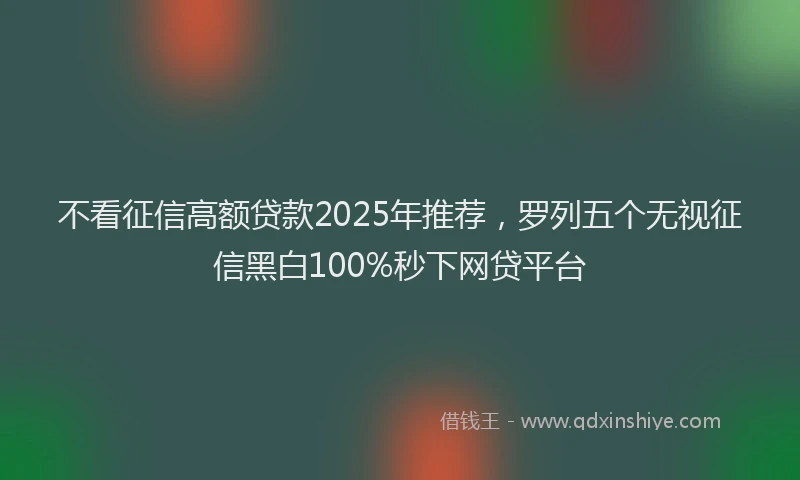 不看征信高额贷款2025年推荐，罗列五个无视征信黑白100%秒下网贷平台
