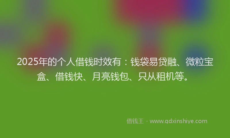 2025年的个人借钱时效有：钱袋易贷融、微粒宝盒、借钱快、月亮钱包、只从租机等。