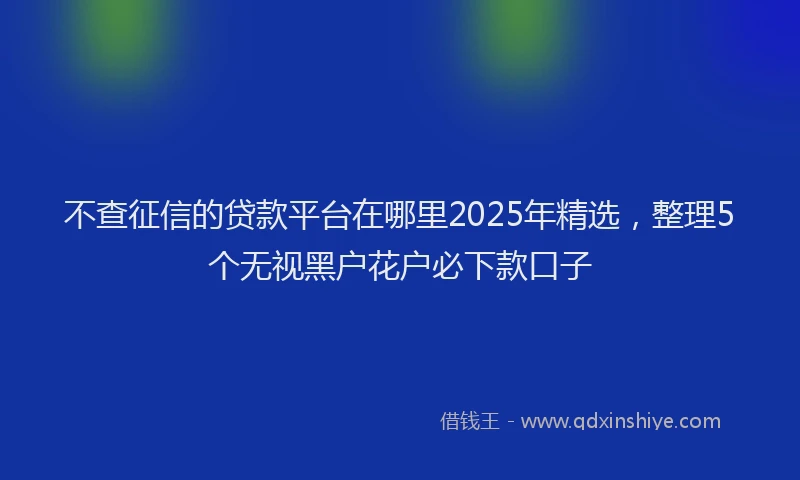 不查征信的贷款平台在哪里2025年精选，整理5个无视黑户花户必下款口子
