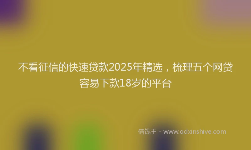 不看征信的快速贷款2025年精选，梳理五个网贷容易下款18岁的平台