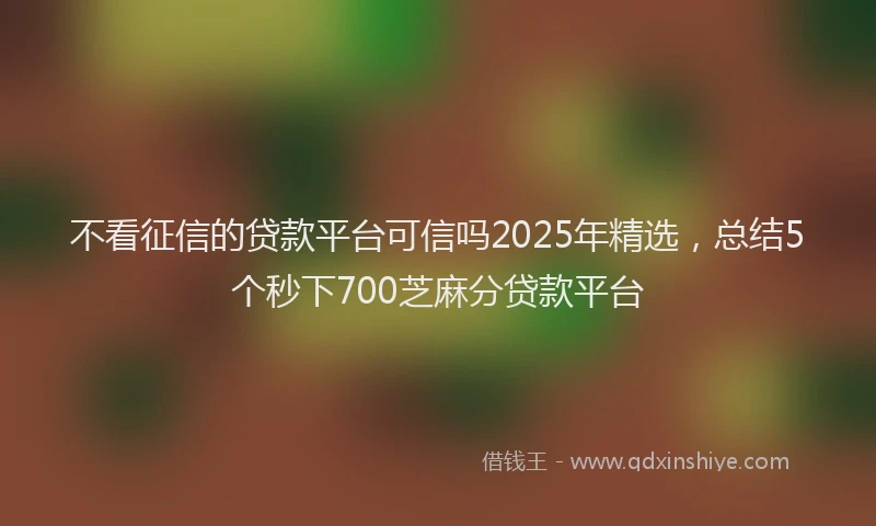 不看征信的贷款平台可信吗2025年精选，总结5个秒下700芝麻分贷款平台