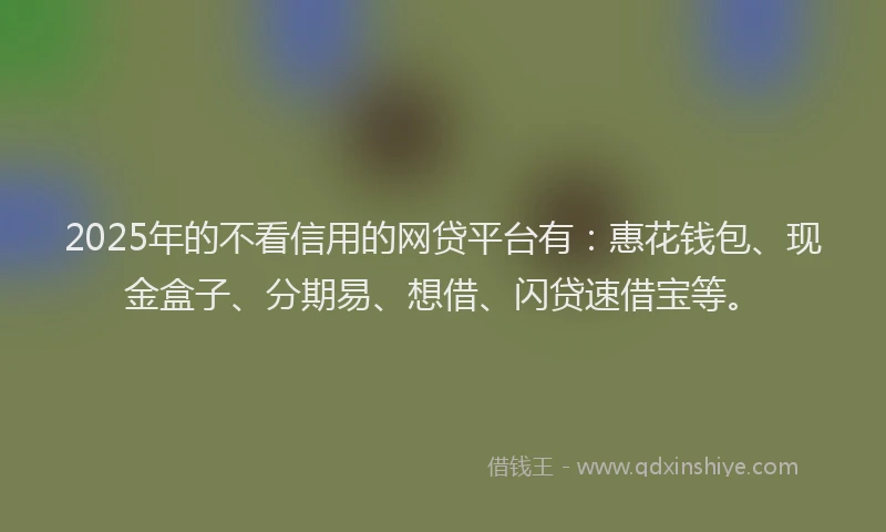 2025年的不看信用的网贷平台有：惠花钱包、现金盒子、分期易、想借、闪贷速借宝等。
