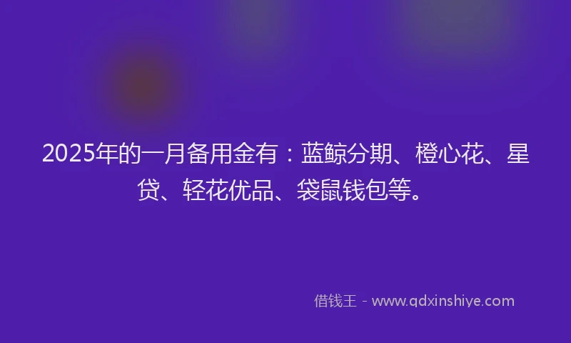 2025年的一月备用金有：蓝鲸分期、橙心花、星贷、轻花优品、袋鼠钱包等。