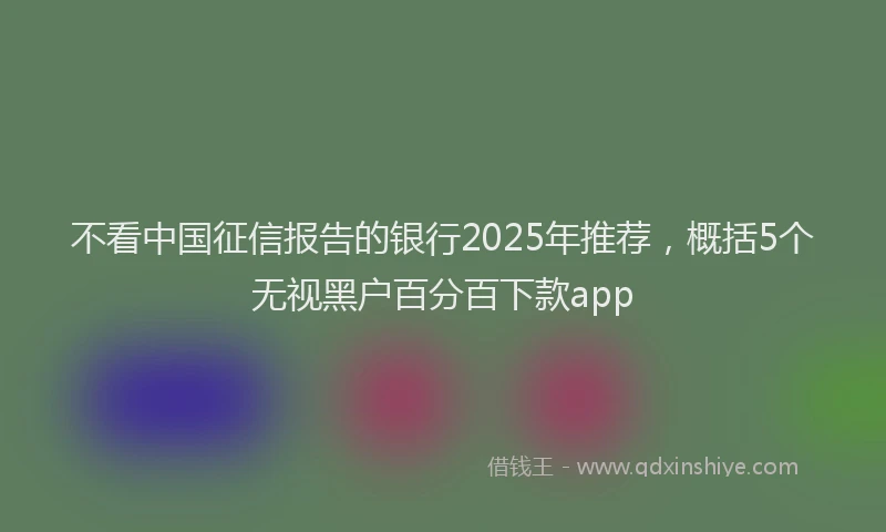 不看中国征信报告的银行2025年推荐，概括5个无视黑户百分百下款app