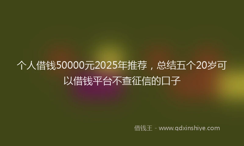 个人借钱50000元2025年推荐，总结五个20岁可以借钱平台不查征信的口子
