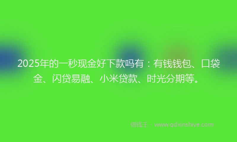 2025年的一秒现金好下款吗有：有钱钱包、口袋金、闪贷易融、小米贷款、时光分期等。