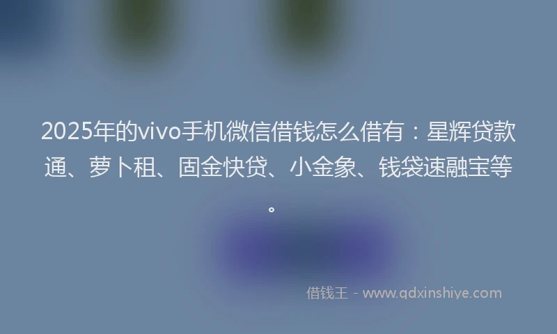 2025年的vivo手机微信借钱怎么借有：星辉贷款通、萝卜租、固金快贷、小金象、钱袋速融宝等。