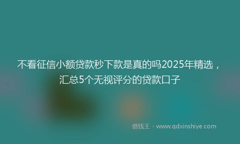 不看征信小额贷款秒下款是真的吗2025年精选，汇总5个无视评分的贷款口子