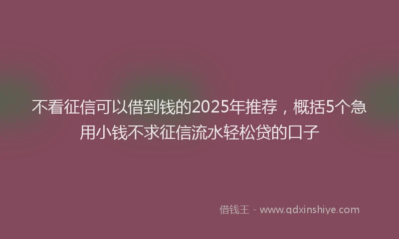不看征信可以借到钱的2025年推荐，概括5个急用小钱不求征信流水轻松贷的口子