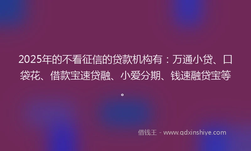 2025年的不看征信的贷款机构有：万通小贷、口袋花、借款宝速贷融、小爱分期、钱速融贷宝等。