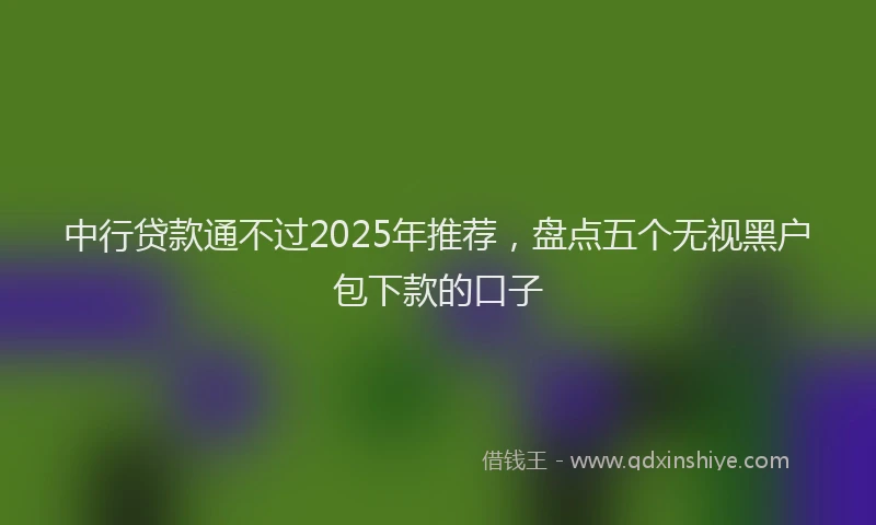 中行贷款通不过2025年推荐，盘点五个无视黑户包下款的口子