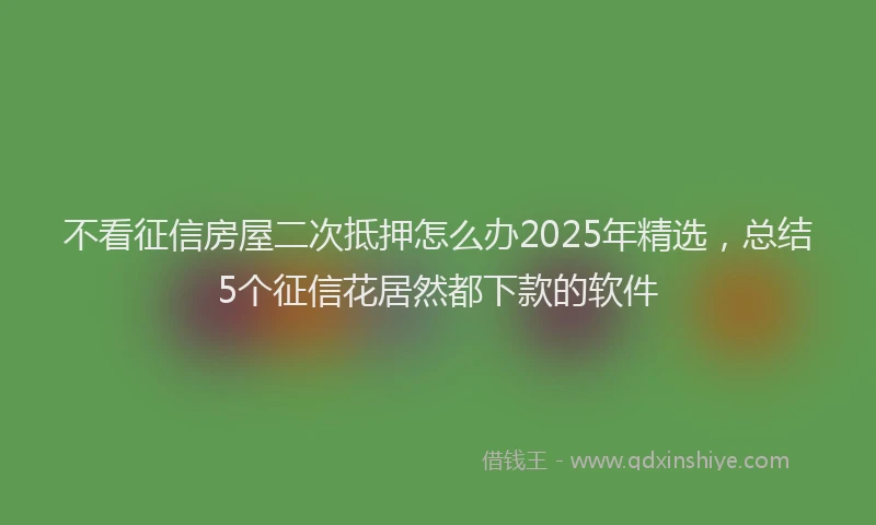 不看征信房屋二次抵押怎么办2025年精选，总结5个征信花居然都下款的软件