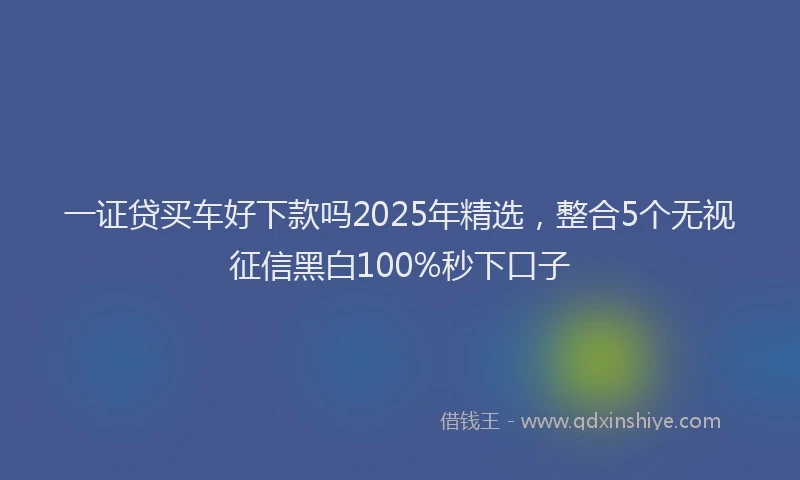 一证贷买车好下款吗2025年精选，整合5个无视征信黑白100%秒下口子