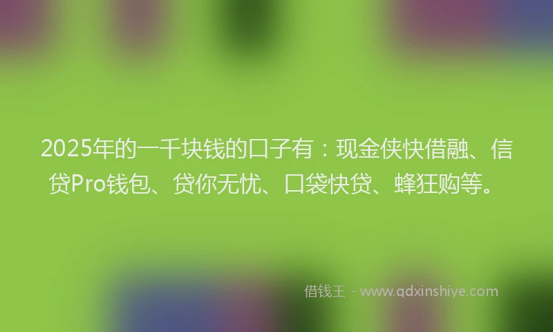 2025年的一千块钱的口子有：现金侠快借融、信贷Pro钱包、贷你无忧、口袋快贷、蜂狂购等。