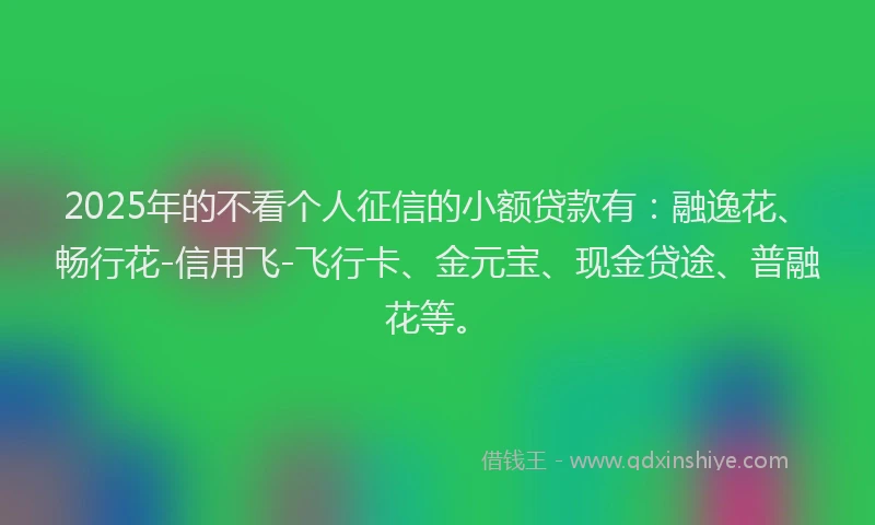2025年的不看个人征信的小额贷款有：融逸花、畅行花-信用飞-飞行卡、金元宝、现金贷途、普融花等。