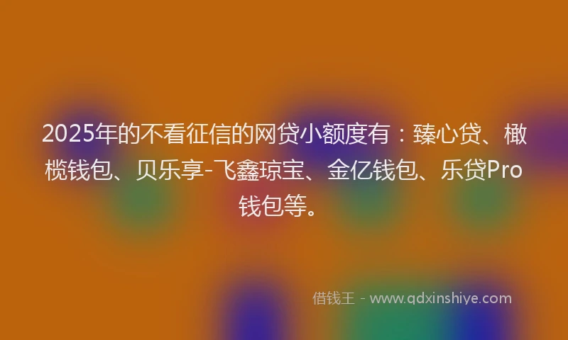 2025年的不看征信的网贷小额度有：臻心贷、橄榄钱包、贝乐享-飞鑫琼宝、金亿钱包、乐贷Pro钱包等。