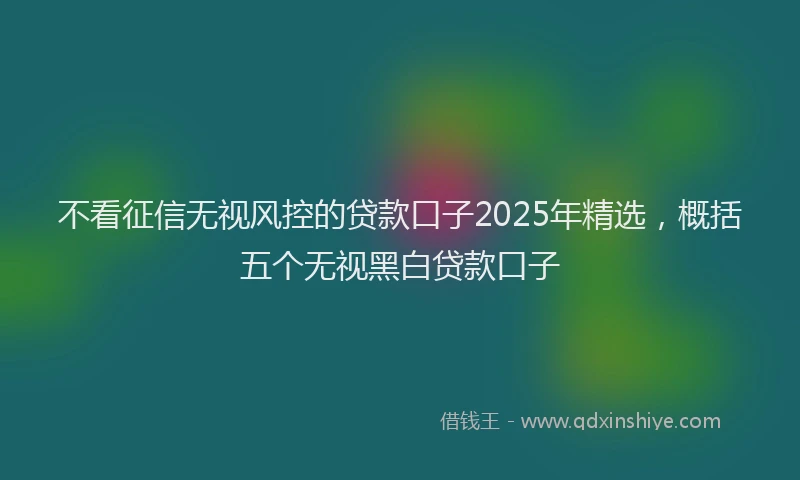 不看征信无视风控的贷款口子2025年精选，概括五个无视黑白贷款口子