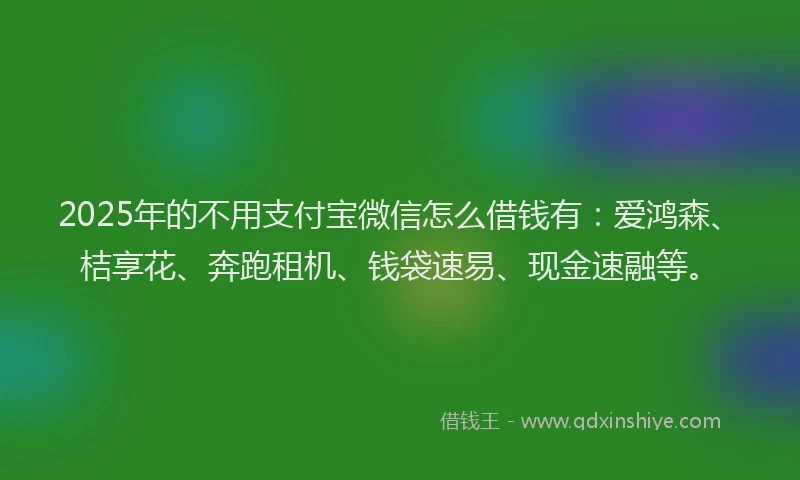 2025年的不用支付宝微信怎么借钱有：爱鸿森、桔享花、奔跑租机、钱袋速易、现金速融等。