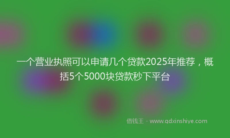 一个营业执照可以申请几个贷款2025年推荐，概括5个5000块贷款秒下平台