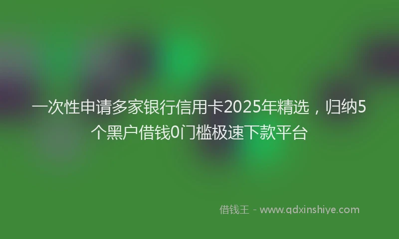 一次性申请多家银行信用卡2025年精选，归纳5个黑户借钱0门槛极速下款平台