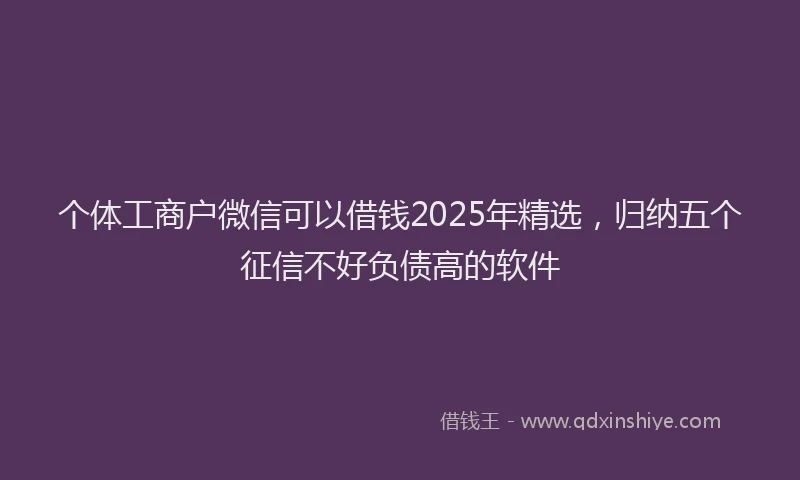个体工商户微信可以借钱2025年精选，归纳五个征信不好负债高的软件