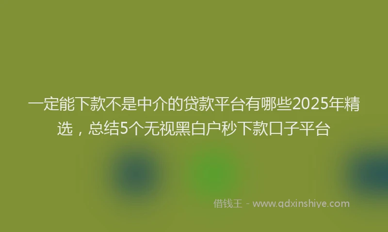 一定能下款不是中介的贷款平台有哪些2025年精选，总结5个无视黑白户秒下款口子平台