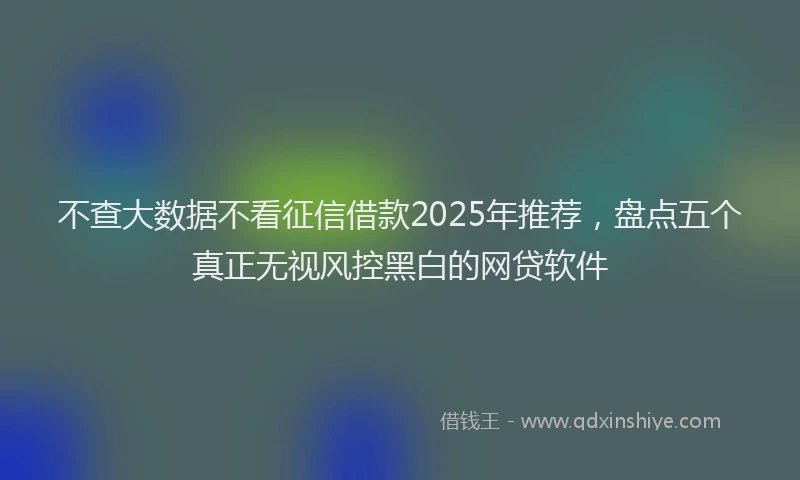 不查大数据不看征信借款2025年推荐，盘点五个真正无视风控黑白的网贷软件