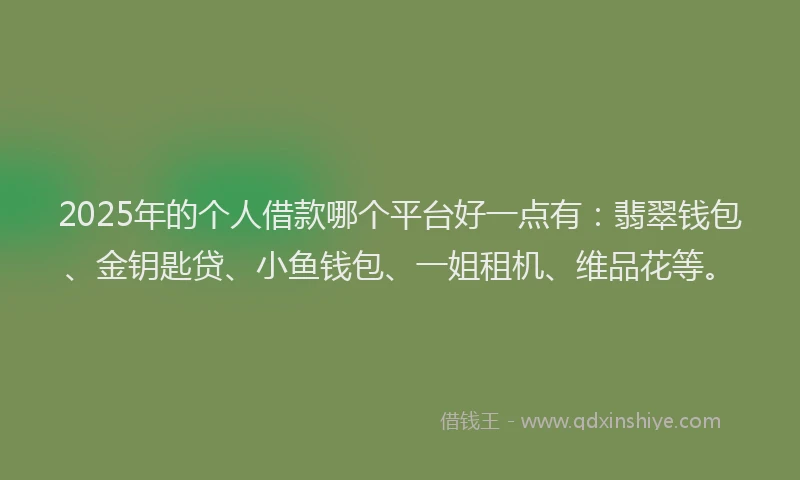 2025年的个人借款哪个平台好一点有：翡翠钱包、金钥匙贷、小鱼钱包、一姐租机、维品花等。
