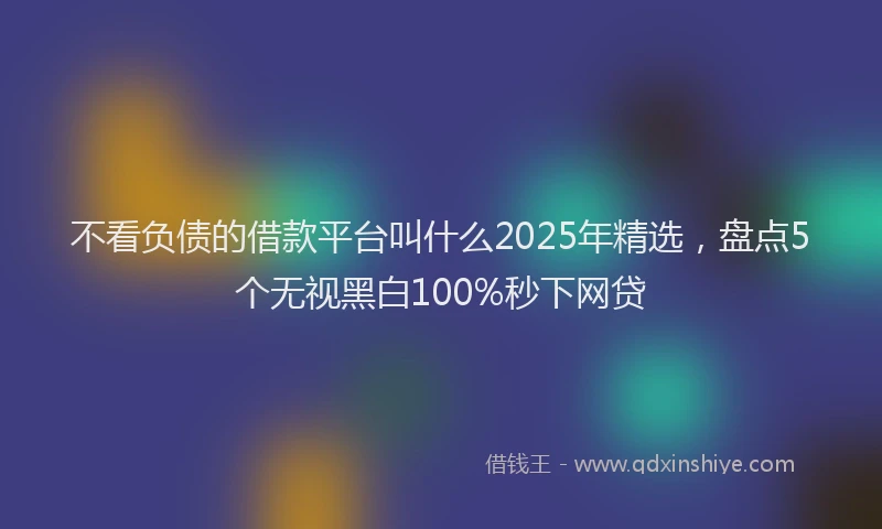 不看负债的借款平台叫什么2025年精选，盘点5个无视黑白100%秒下网贷