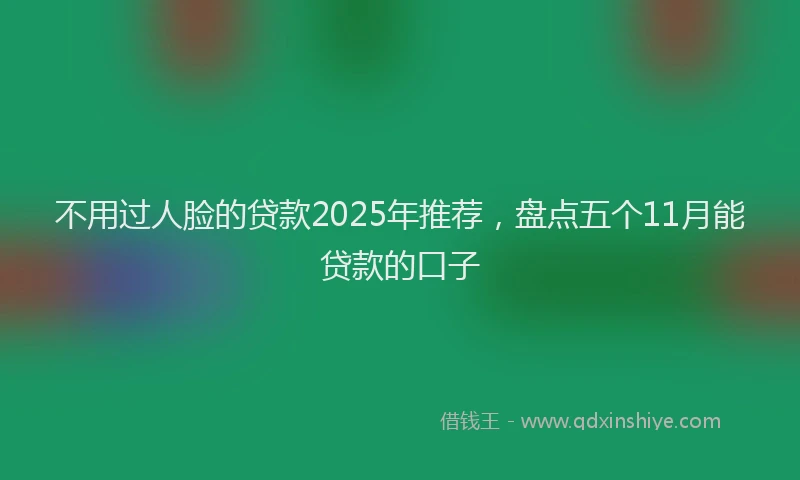 不用过人脸的贷款2025年推荐，盘点五个11月能贷款的口子