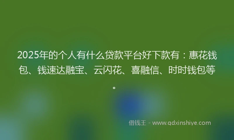 2025年的个人有什么贷款平台好下款有：惠花钱包、钱速达融宝、云闪花、喜融信、时时钱包等。