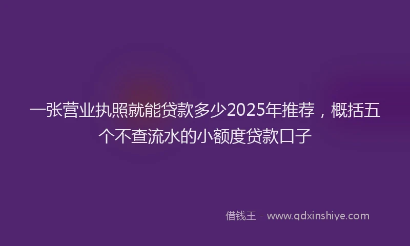 一张营业执照就能贷款多少2025年推荐，概括五个不查流水的小额度贷款口子