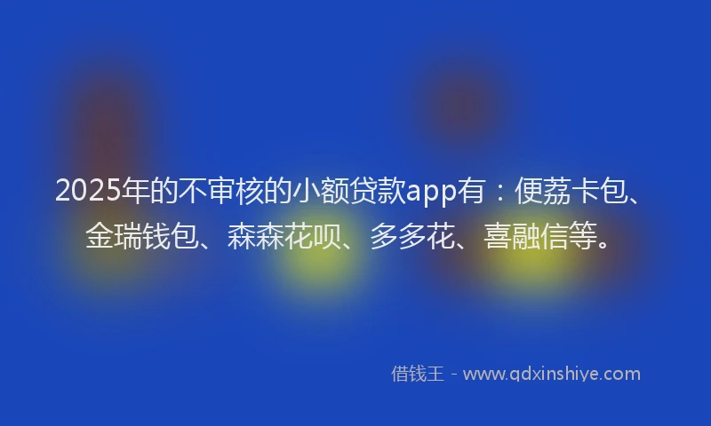 2025年的不审核的小额贷款app有：便荔卡包、金瑞钱包、森森花呗、多多花、喜融信等。