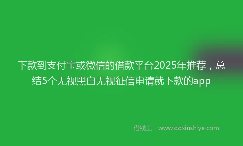 下款到支付宝或微信的借款平台2025年推荐，总结5个无视黑白无视征信申请就下款的app
